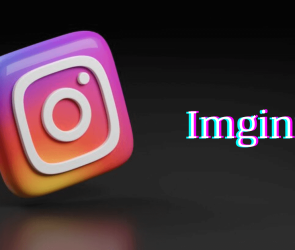 Imginn - Anonymous Instagram Story, Post, and Video Downloader