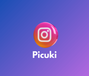 Instagram Profiles Anonymously - Picuki